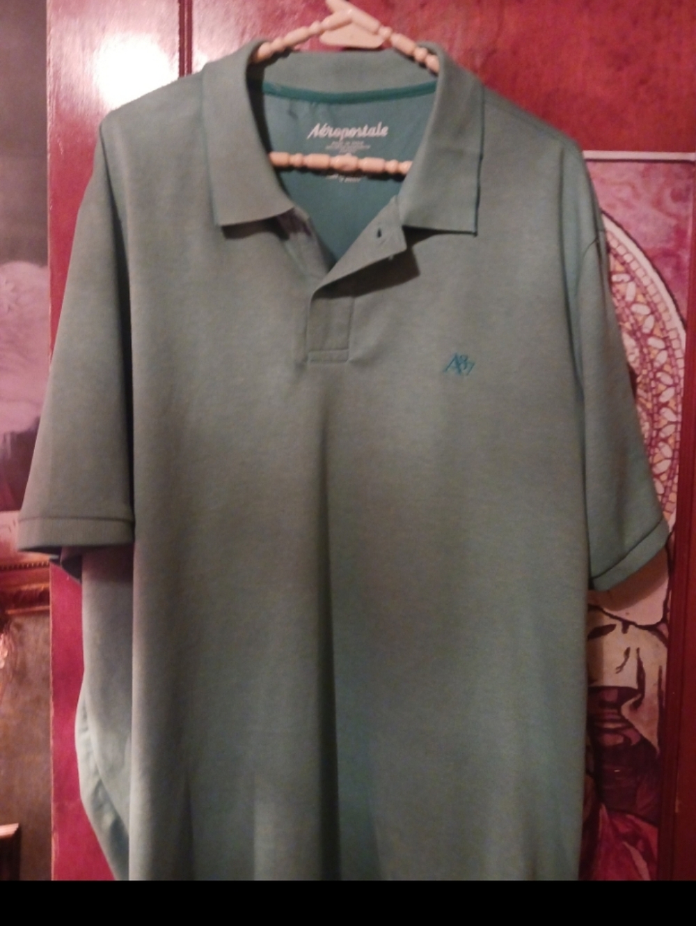 Aeropostale Men's Sage Green Polo Shirt with Embroidered Logo 3x